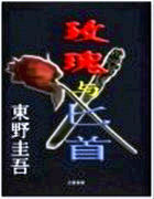 玫瑰与匕首